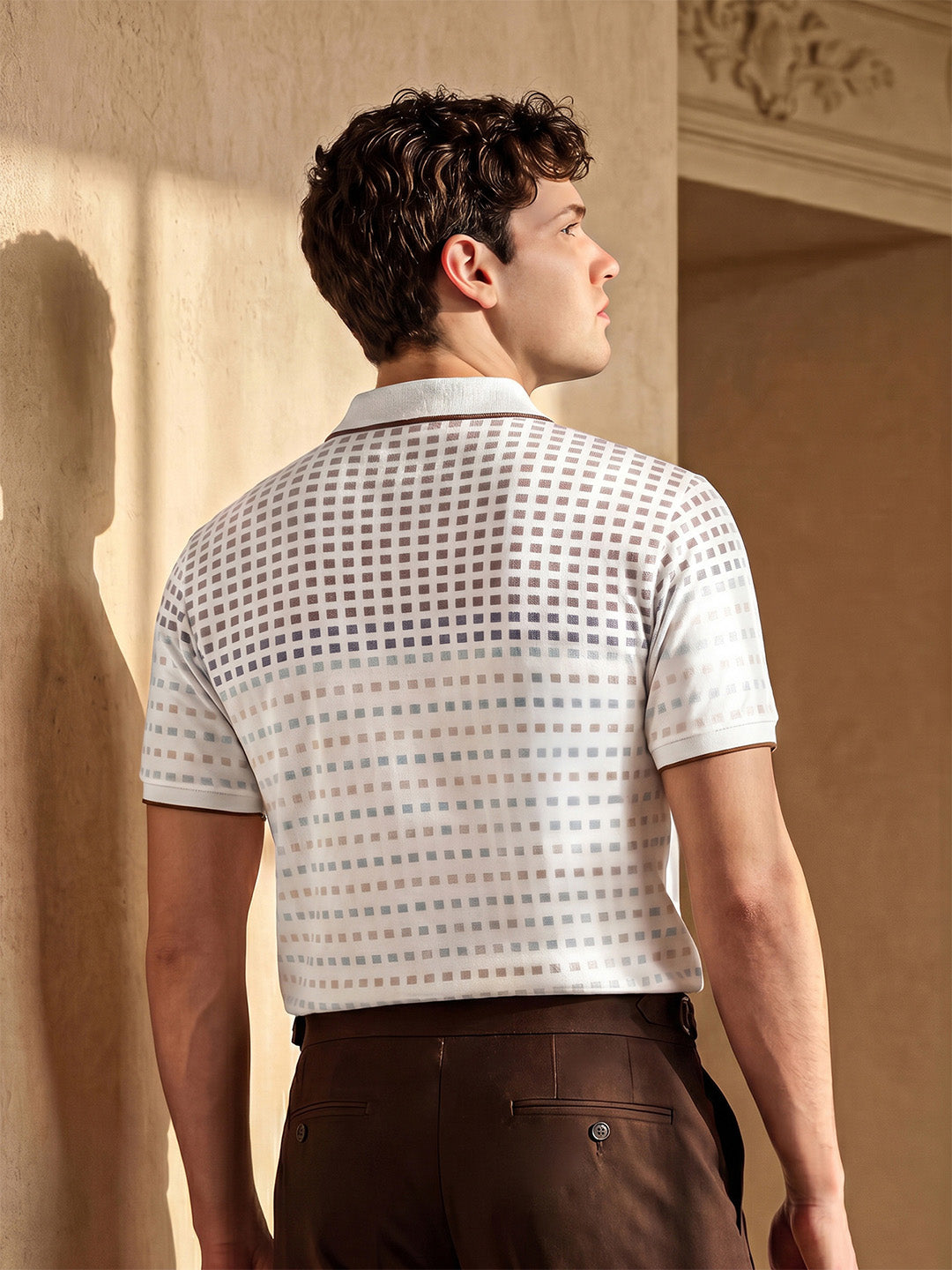 Classic Regular Fit Brown Striped Polo T-shirt