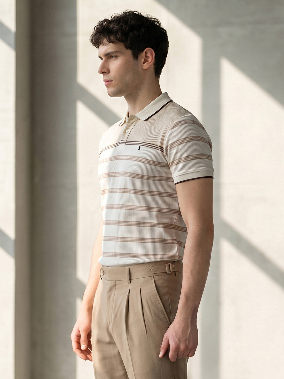 Classic Regular Fit Brown Striped Polo T-shirt