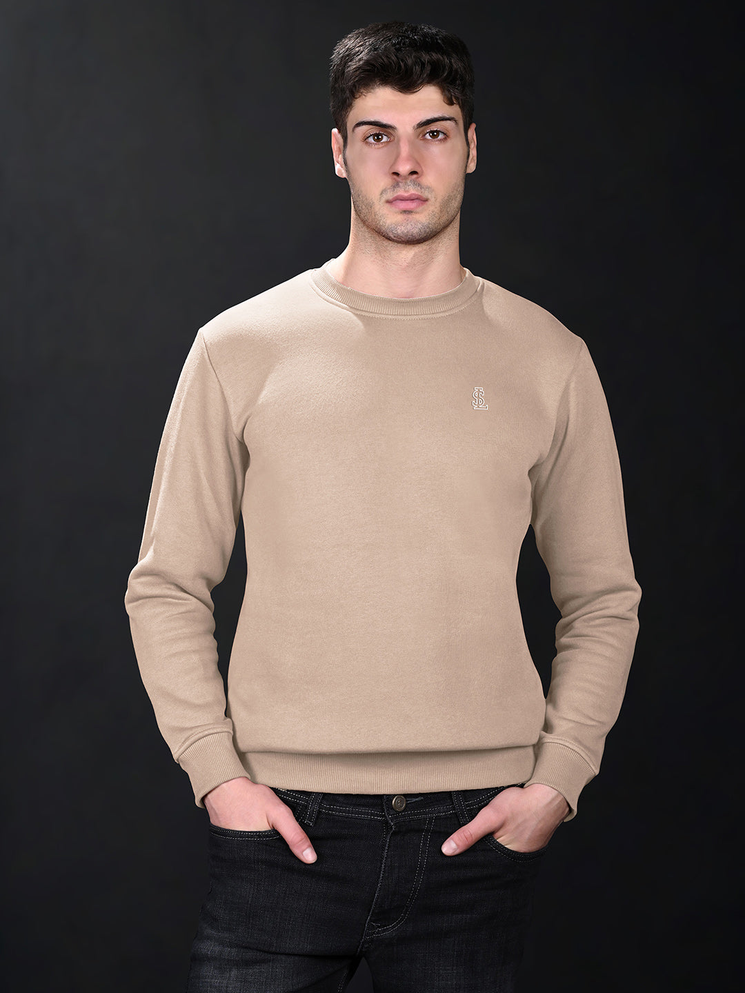 Signature 3D Embossed logo Beige Regular Fit Pullover Sweatshirt