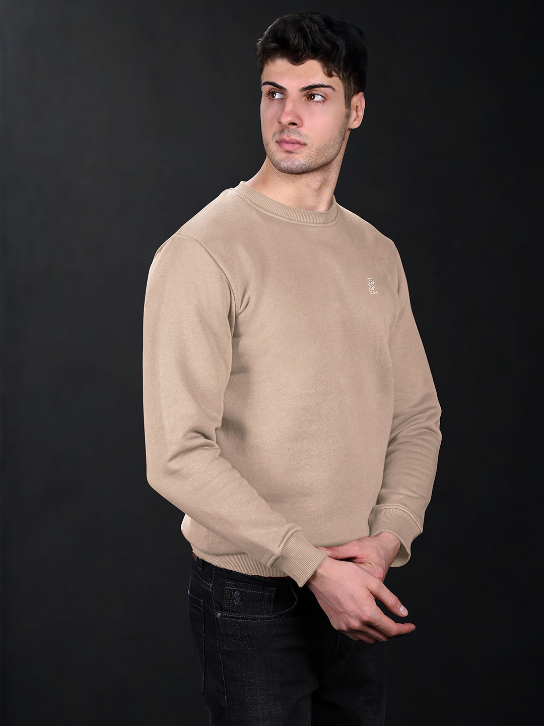 Signature 3D Embossed logo Beige Regular Fit Pullover Sweatshirt
