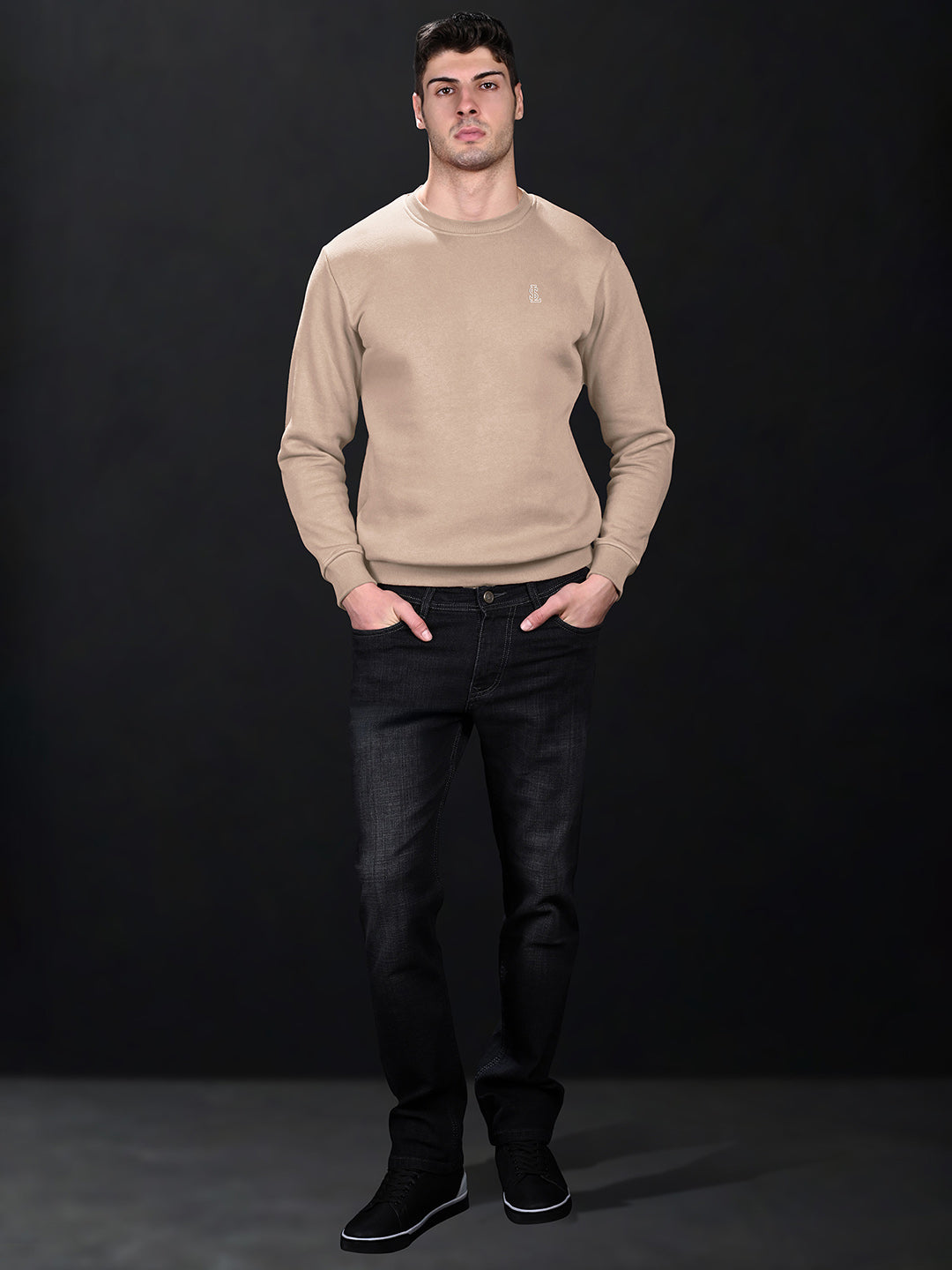 Signature 3D Embossed logo Beige Regular Fit Pullover Sweatshirt