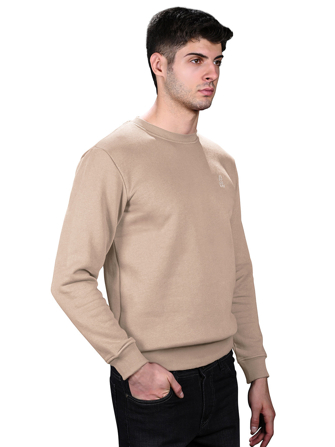 Signature 3D Embossed logo Beige Regular Fit Pullover Sweatshirt