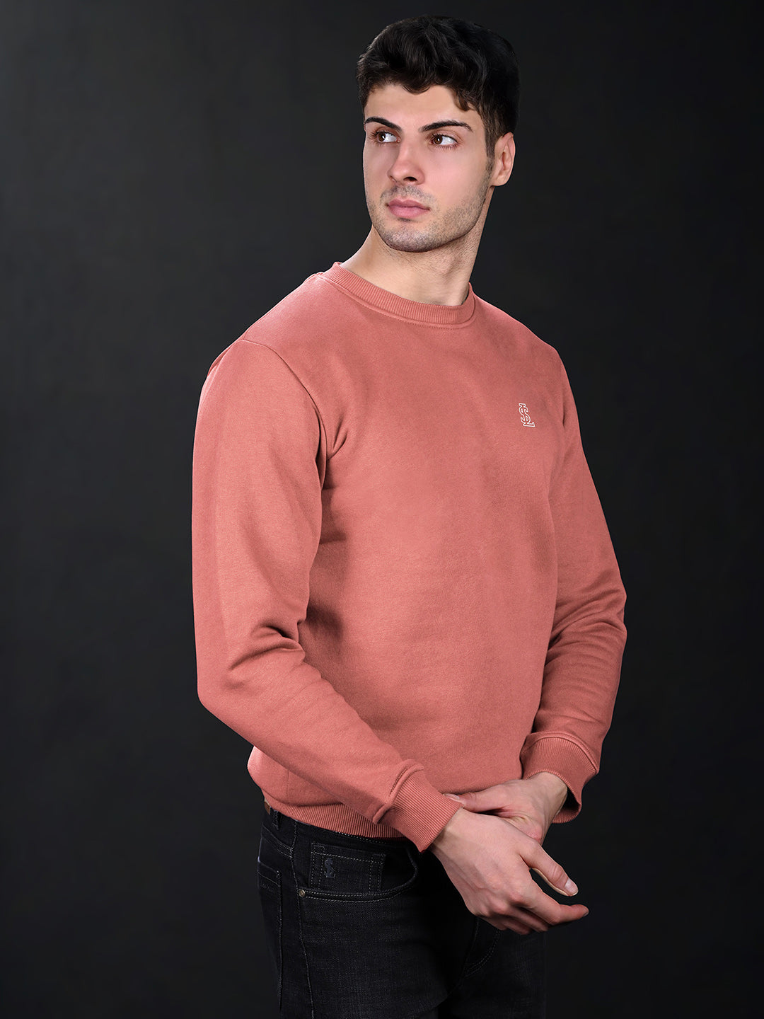Signature 3D Embossed logo Pink Regular Fit Pullover Sweatshirt