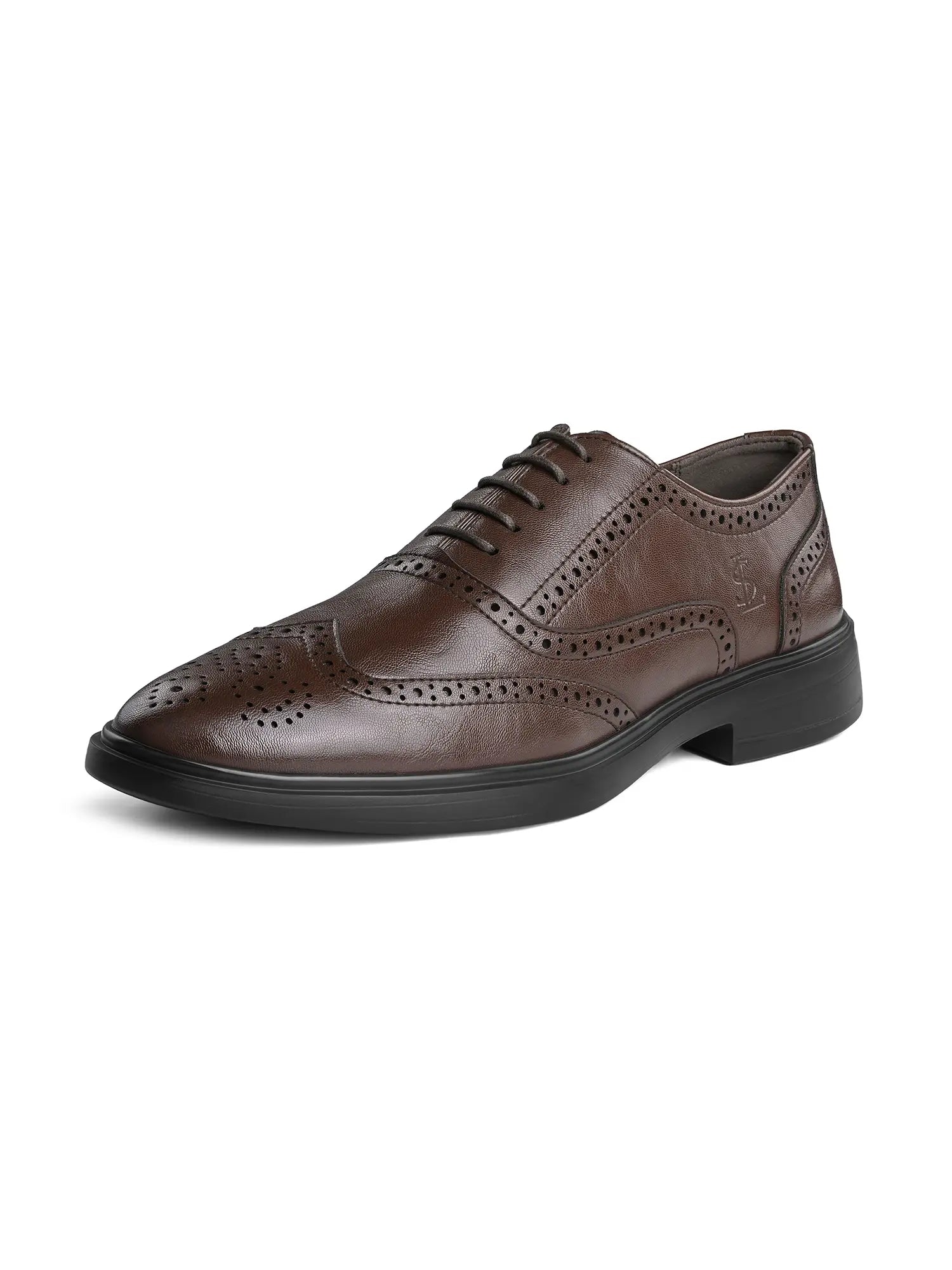 Brunette Brown Formal Brogue Shoes