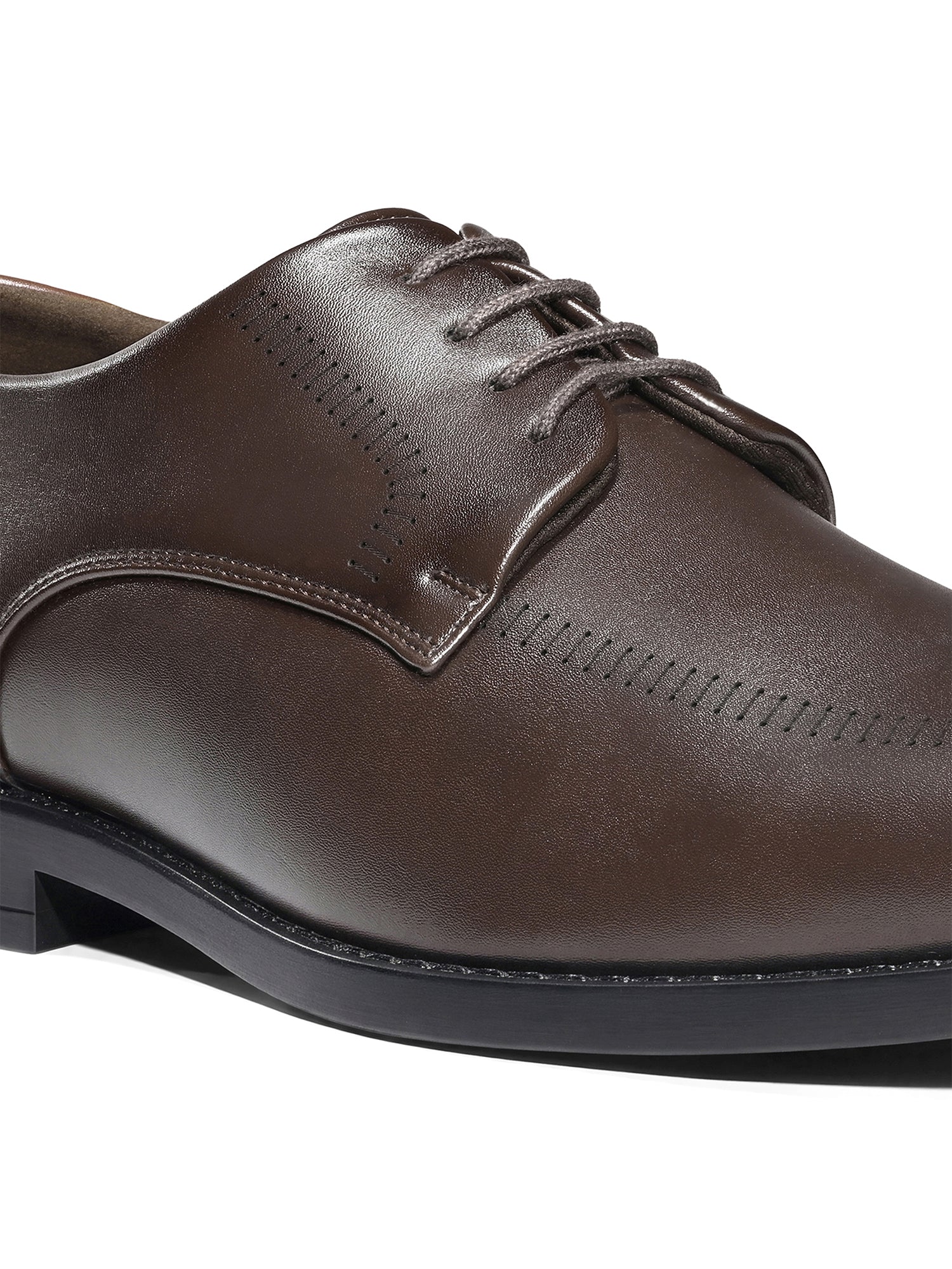 Brunette Brown Formal Derby Lace-Up Shoes